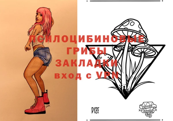 spice Арсеньев